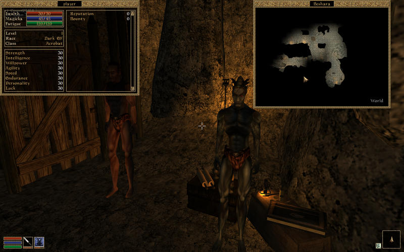 File:Openmw-future-2012-03-22-1.png